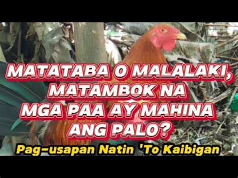 matambok na puday|Matambok na nga ang pwetan matambok pa ang puke .